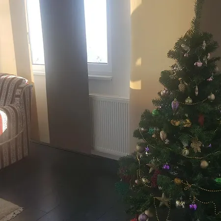 Holiday Mermina *